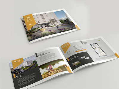 Brochure design & Branding / PSN Skyline branding brochure design design graphic design print