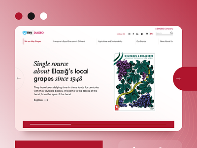 Mey | Diageo Website Design branding graphic design ui uiux userexperience websitedesign