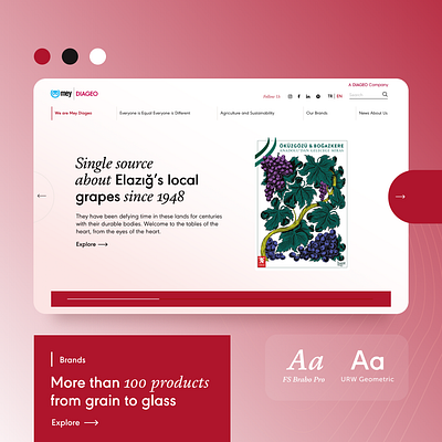 Mey | Diageo Website Design branding graphic design ui uiux userexperience websitedesign