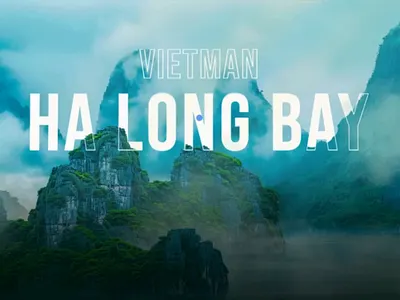 Advanced Mouse Interaction Hero Design design elementor hero hero section landing page landingpage web design website wordpress