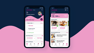 🐾 Excited to Share My Eukanuba App Concept! 🐾 advice app community discounts dogs eukanuba lifestyle mobileapp mobiledesign petapp petcare puppy puppyapp support uidesign uxdesign vouchers