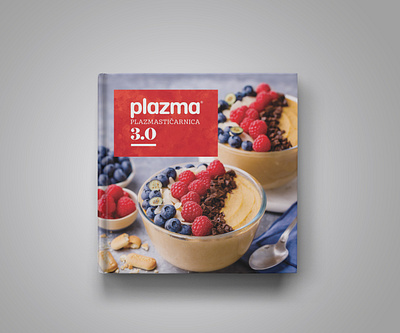 Dessert cookbook Plazmastičarnica 3.0 graphic design indesign layout design