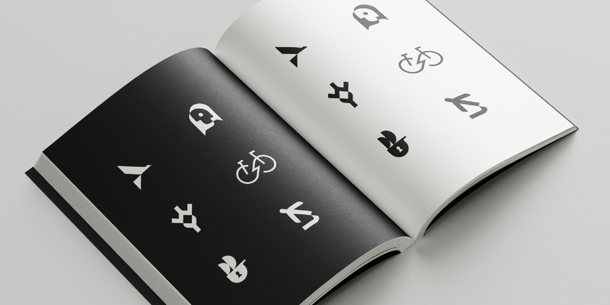 Example of Modern Branding Design Package