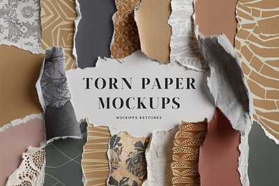 Torn Paper Mockups & Textures design graphic design illustration vector