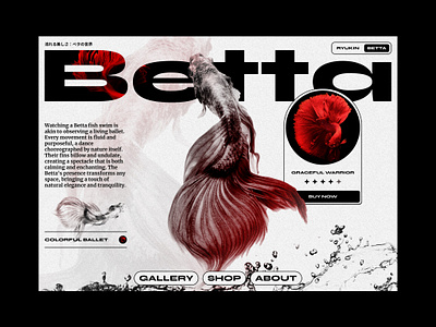 Betta abstract betta colors design desktop fish grid japan japanese original presentation ui ux web website