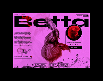 Betta abstract betta colors design desktop fish grid japan japanese original presentation ui ux web website