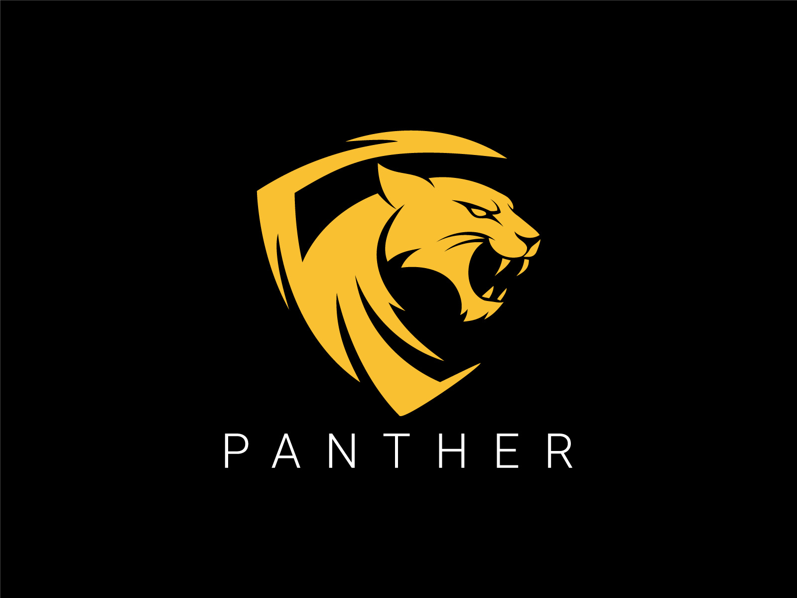 Example of Panther Logo