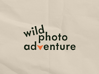 Wild Photo Adventure adventure brand branding illustration logo logo design merch photography stickers travel tshirts typography workshops