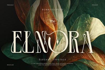 Elnora branding display font editorial design fashion font style jewelry lettering logo type magazine serif style typeface