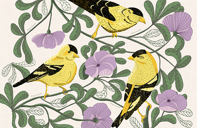 Goldfinches adobe illustrator drawing flowers flowers and birds graphic design