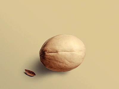 Creme Walnut 🥜 creme food fresh health icon illustration nuts organic reinspire system trees vegetation walnut