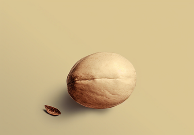 Creme Walnut 🥜 creme food fresh health icon illustration nuts organic reinspire system trees vegetation walnut