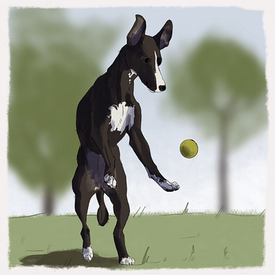 Whippet catching a ball 🥎 2d 2dart art colors colours design digital digitalart dog dogart doggust illustration minimalisticart whippet