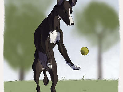 Whippet catching a ball 🥎 2d 2dart art colors colours design digital digitalart dog dogart doggust illustration minimalisticart whippet