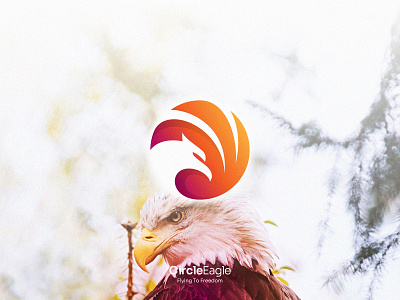 Circle Eagle Logo animal bird branding business character circle company corporate creative eagle gradient hawk identity modern symbol