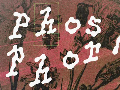 Flower Control - Artwork and Phosphor Concept agence art branding graphic design motion graphics texte typo typography