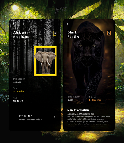 Ani.web #Redesign animal redesign ui