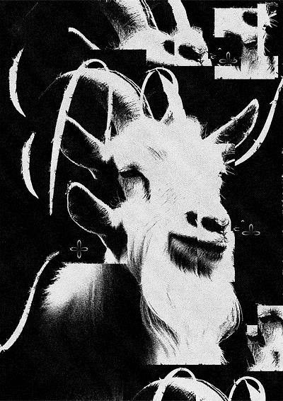 Goat design experimental graphic design typography