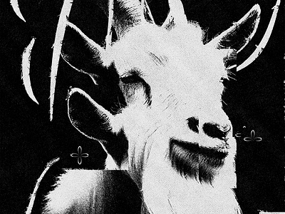 Goat design experimental graphic design typography