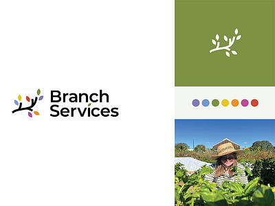 Branch Services Logo branding cacheinteractive colorguide design graphic design icon illustration logo marketing