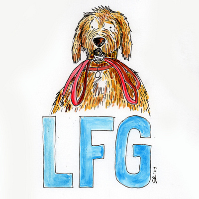 LFG illustration