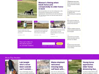 Blog Website Design figma