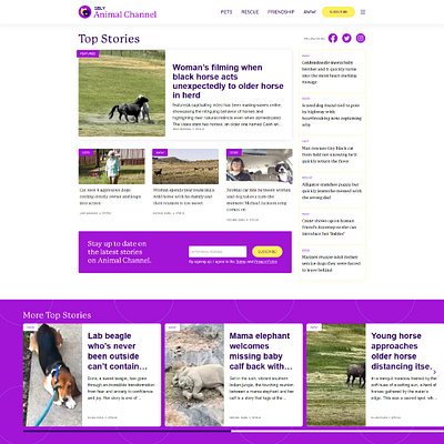 Blog Website Design figma