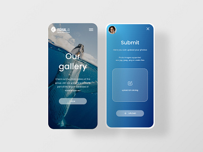 Submit feature - web app for all fish lovers 📱🌊🐠 branding codahead gallery interface mobile photo popular shot submit ui upload user panel ux visual design web app