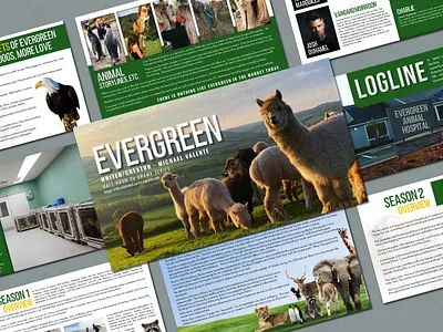 EVERGREEN animation branding creative design creative presentation design film pitch deck film pitch example google slides graphicsigma movie pitch deck pitch deck example pitch deck presentation powerpoint powerpoint design powerpoint presentation powerpoint template ppt template presentation design template