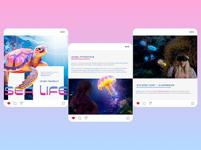 Instagram posts for the Sea Life Aquarium in London branding design graphic design illustration mobile typography ui ux vector web