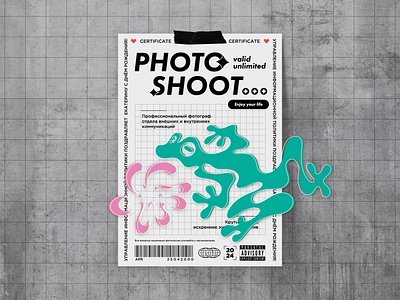 Сertificate for a photo shoot design graphic design vector