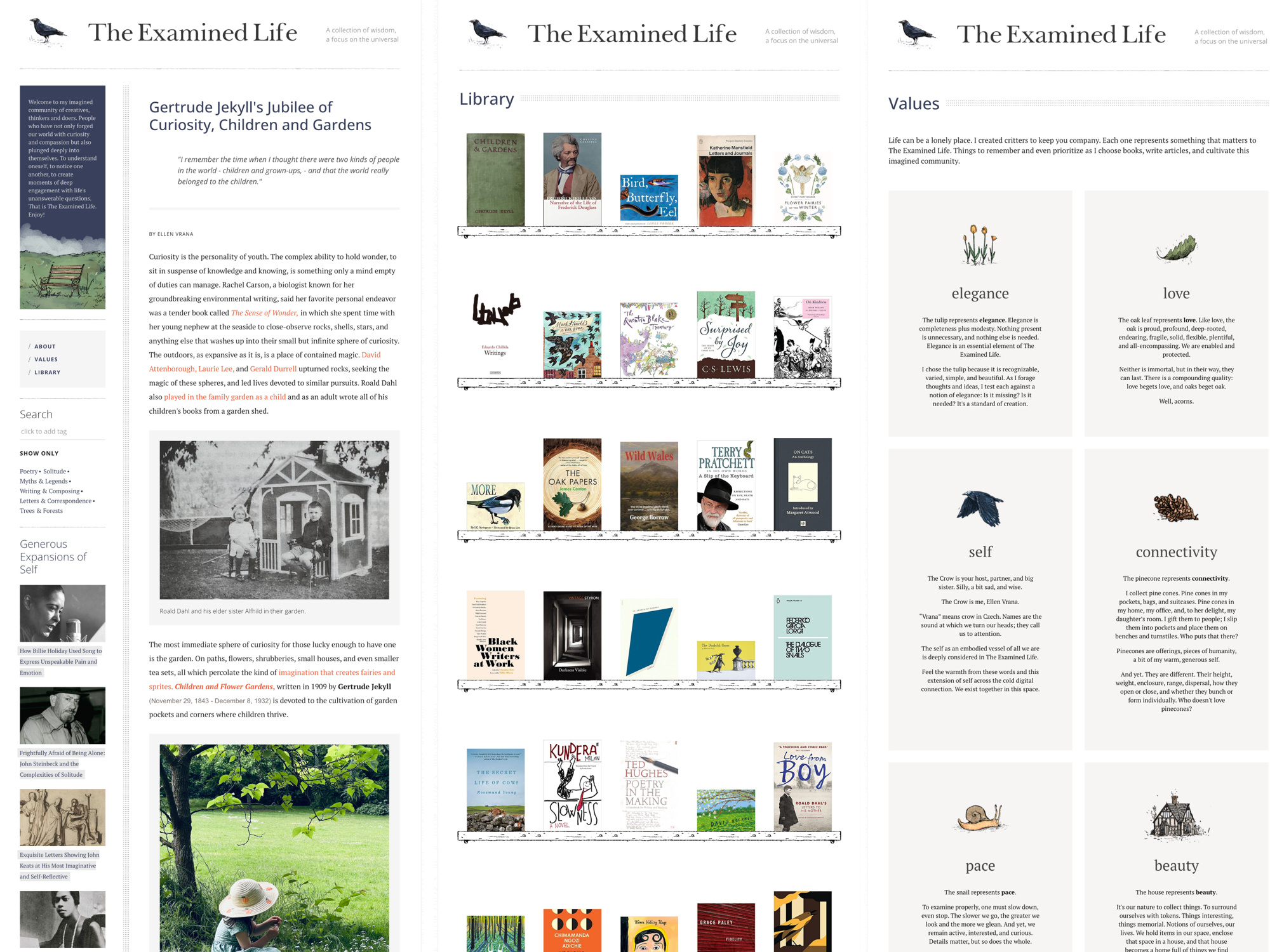 Example of The Examined Life Website Design