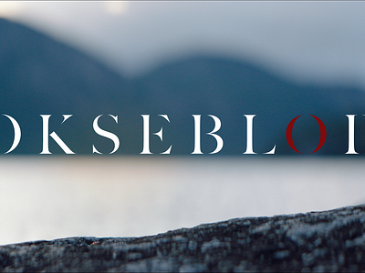 Logo design for novella film Okseblod branding graphic design logo typography