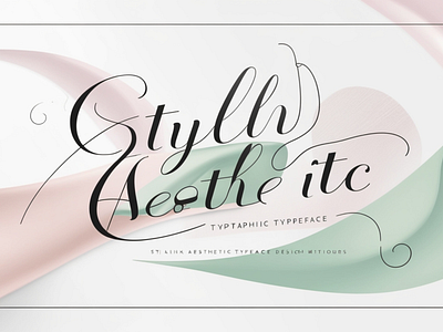 Stylish Aesthetic Typeface branding design graphic design illustration vector