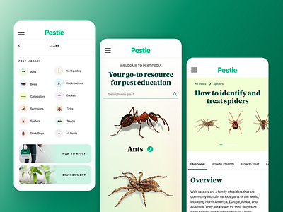 Pestie Pest Library ants bugs category dropdown green nav pest control pest library pestie pestipedia seo spiders ui utah ux web design