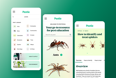 Pestie Pest Library ants bugs category dropdown green nav pest control pest library pestie pestipedia seo spiders ui utah ux web design