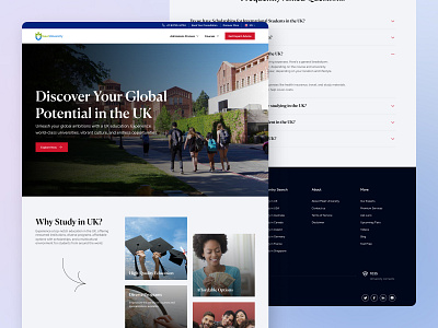 Revamped Country Search Experience for Meet University 🌍 academic academy branding campus college courses education learn student study studyabroad uiuxdesign university user experience web web marketing webdesign website website design