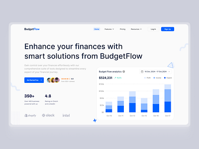 Budget Flow - Design Concept animation branding design figma figmadesign graphic design illustration logo ui uidesign uiux