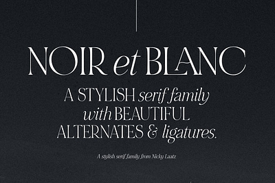 NOIR et BLANC Stylish Serif bold display font quiet sans serif font serif font serious