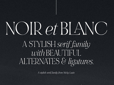 NOIR et BLANC Stylish Serif bold display font quiet sans serif font serif font serious