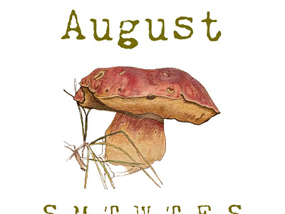 Nature's Stories | Calendar 2024 2024 botanical brownish calendar earth tones earthy fairytale green illustrations mushroom nature photography red simple