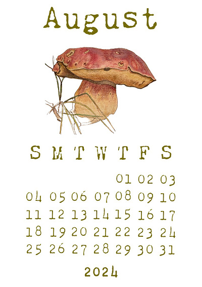 Nature's Stories | Calendar 2024 2024 botanical brownish calendar earth tones earthy fairytale green illustrations mushroom nature photography red simple