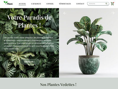 Votre Paradis de Plantes ! graphic design ui ux