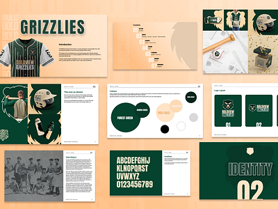 Boldview Grizzlies Brand System brand book brand system brandguidlines branding graphic design logo