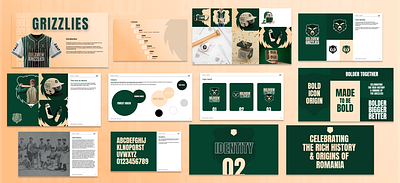 Boldview Grizzlies Brand System brand book brand system brandguidlines branding graphic design logo