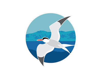 Polar Cruises Brand Identity Design adobe illustrator antarctica arctic arctic tern bird design bird logo brand design brand identity branding chicago design flying bird glacier glacier logo illustration illustrator kansas midwest tern water logo