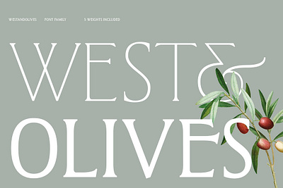 West and Olives (6 fonts + variable) bundle canca classic font fashion font feminine font feminine logo font font bundle girlboss instagram font ligature font ligaure minimal font modern font retro font typeface wedding font