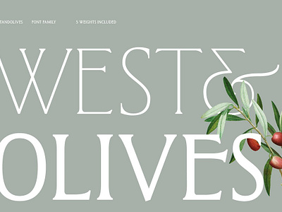 West and Olives (6 fonts + variable) bundle canca classic font fashion font feminine font feminine logo font font bundle girlboss instagram font ligature font ligaure minimal font modern font retro font typeface wedding font