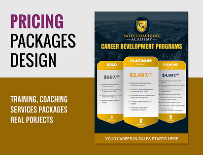 Pricing Packages Flyer Design coaching