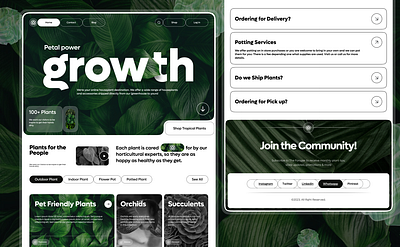 Plantique | Plants | Figma | Web design | Framer ai ecommerce figma framer minimalistic plantique plants web design white theme